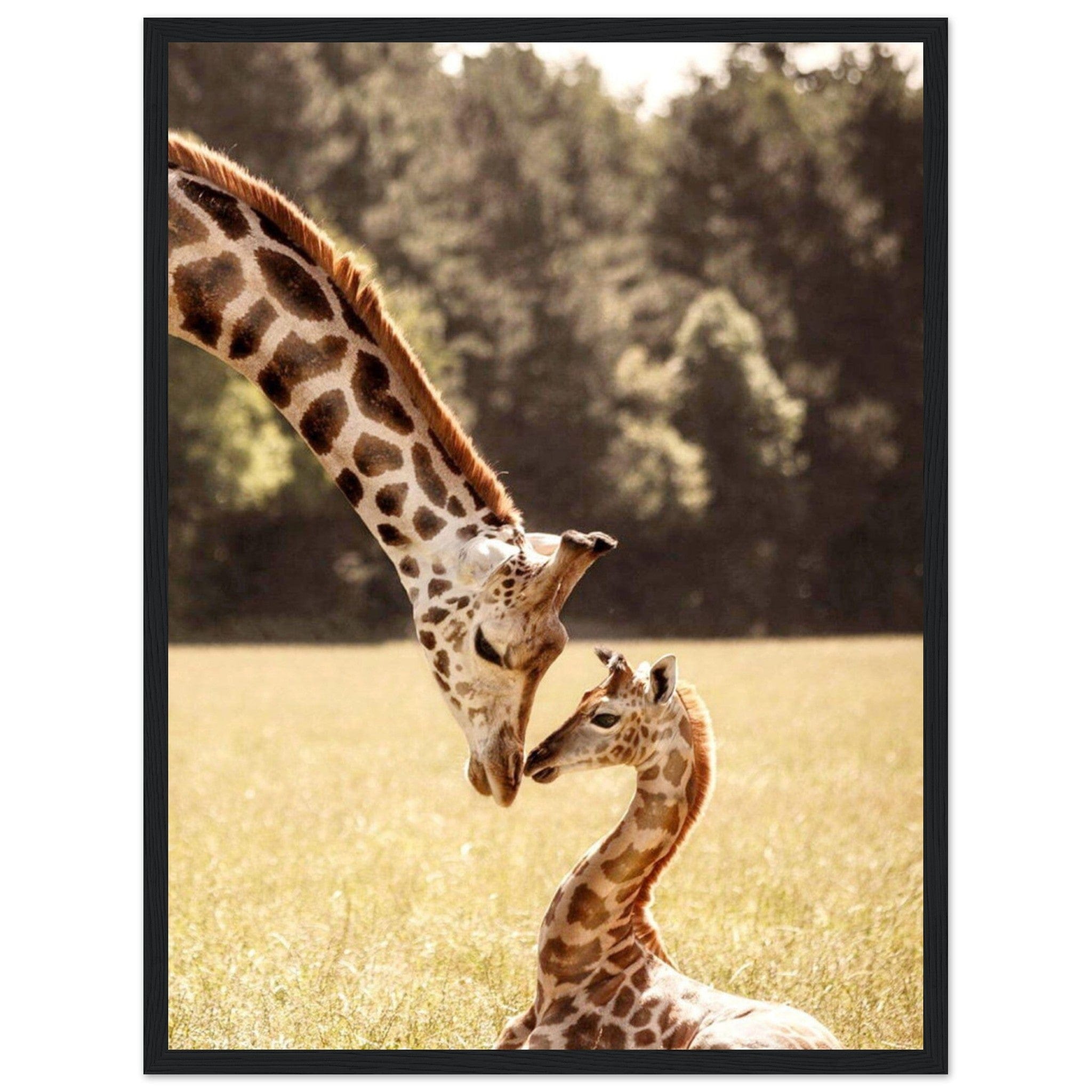 Gelato Print Material 45x60 cm / 18x24″ Tableau Avec Girafe