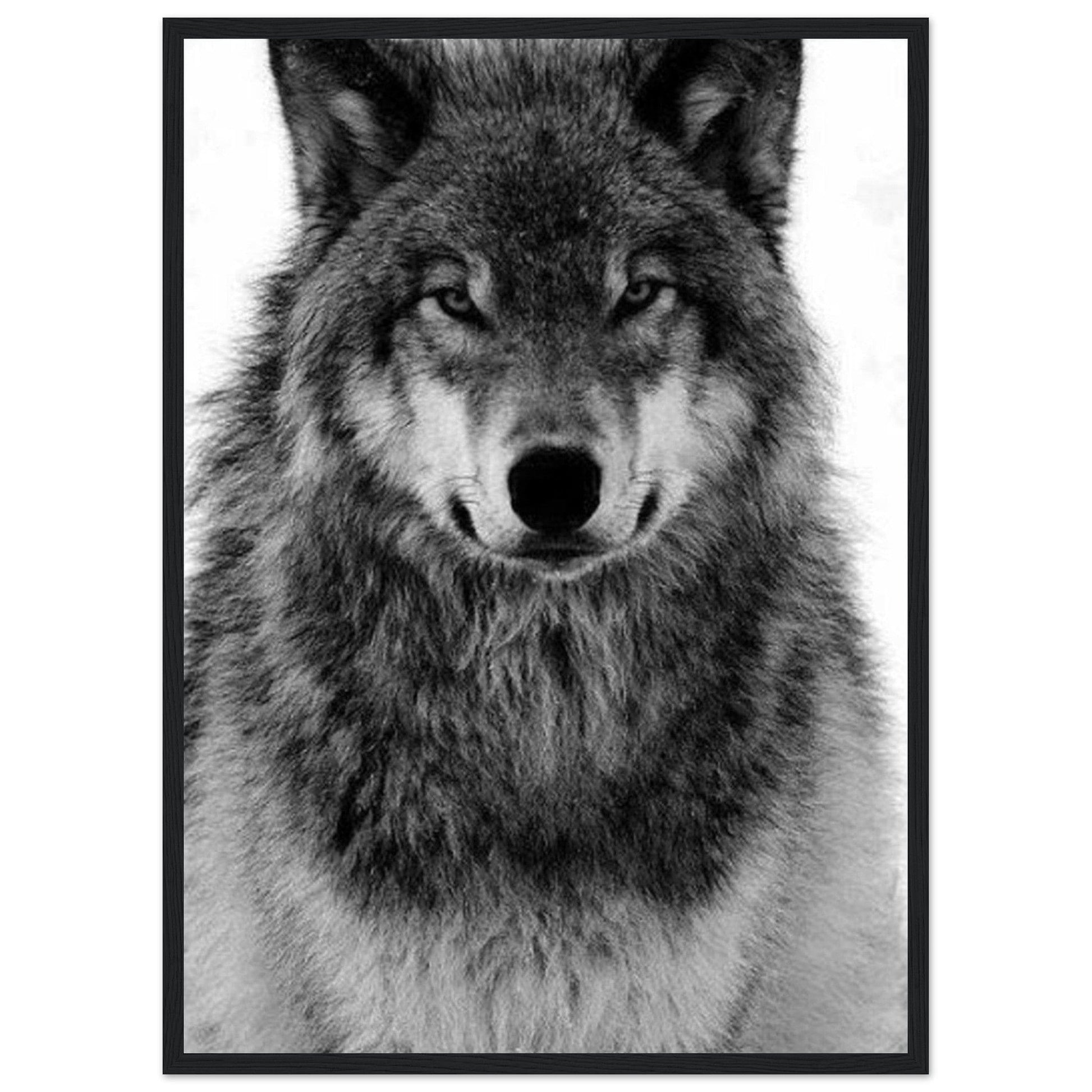 Tableau Loup Noir Et Blanc - Canvanation