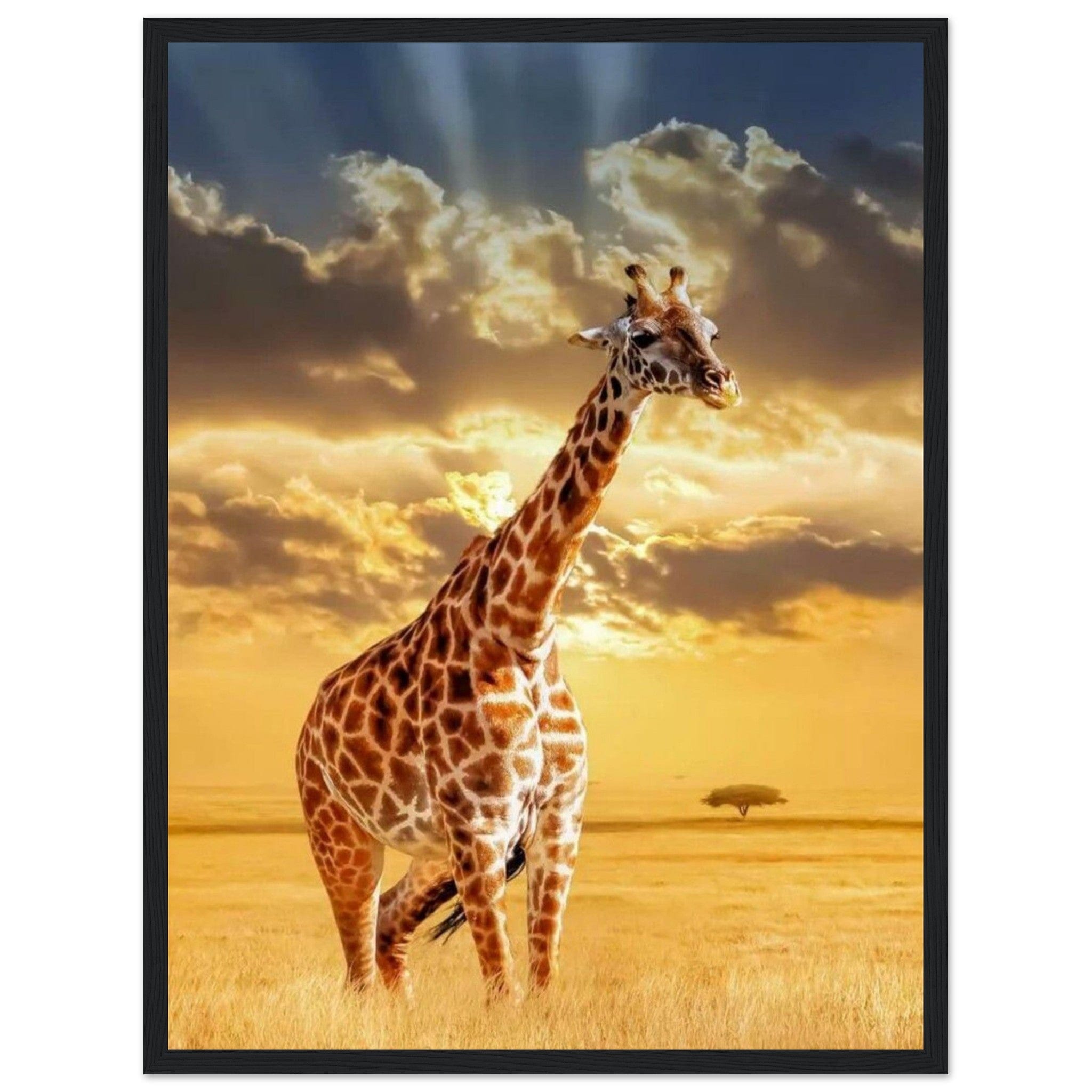 Gelato Print Material 45x60 cm / 18x24″ Tableau Girafe