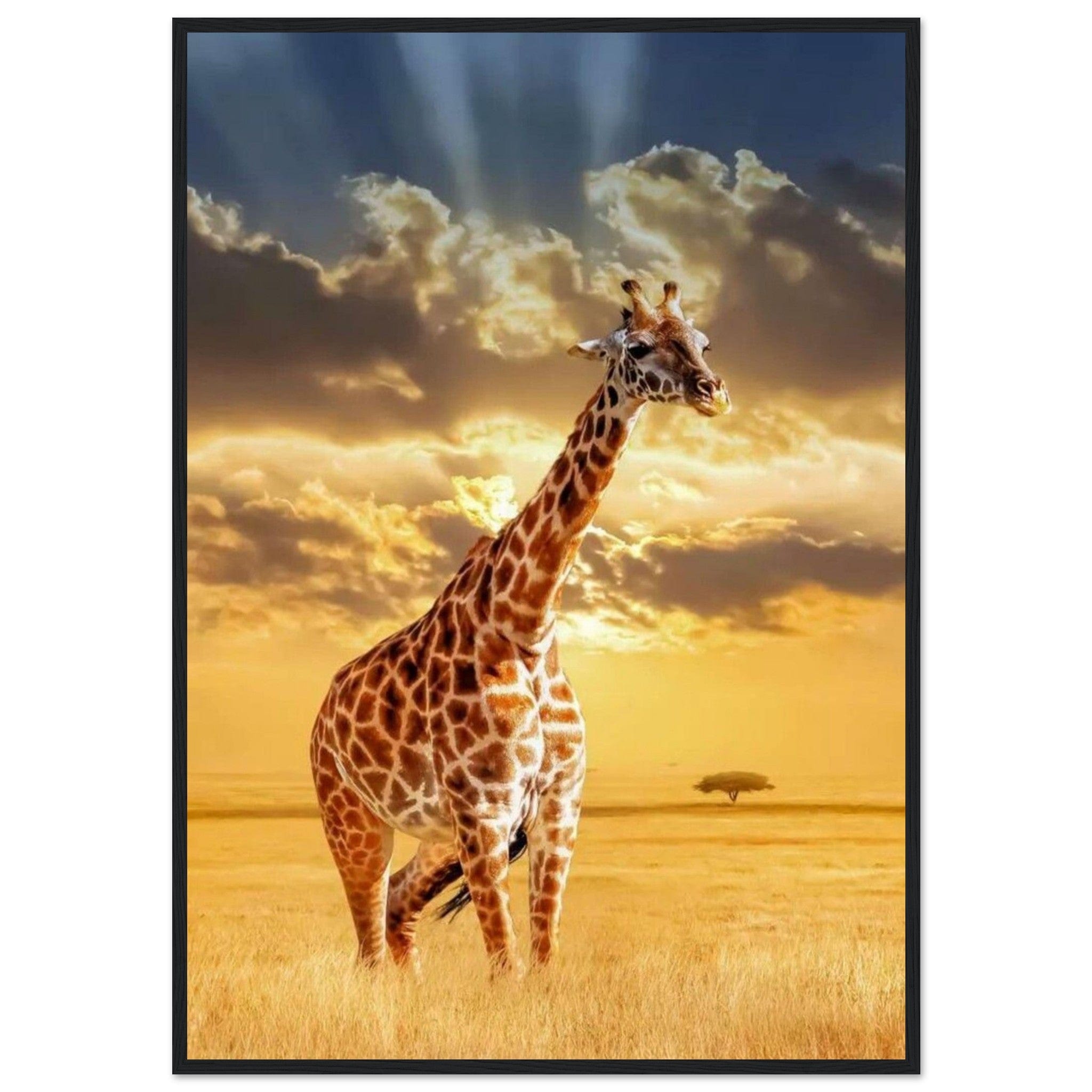 Gelato Print Material 70x100 cm / 28x40″ Tableau Girafe