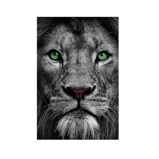 Canvanation 50x70 Cm Lion Affiche