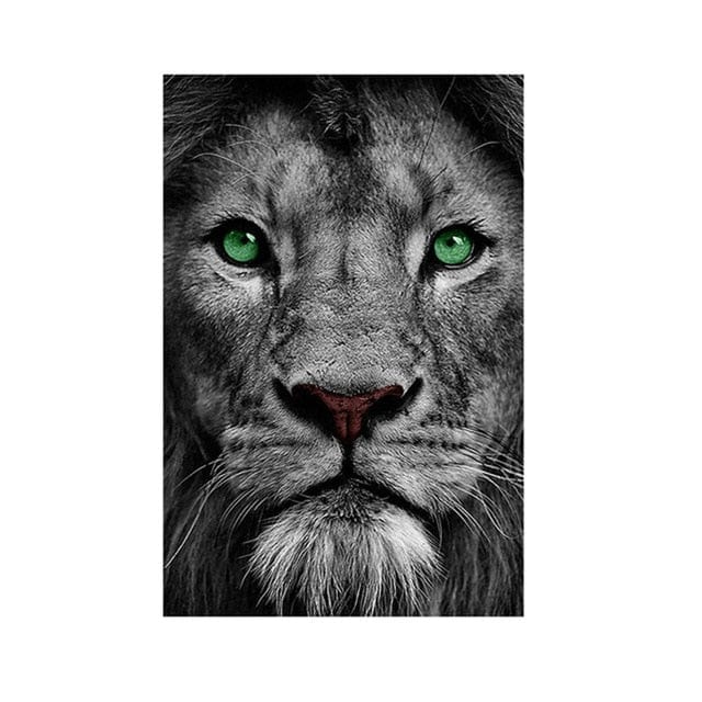 Canvanation 50x70 Cm Lion Affiche