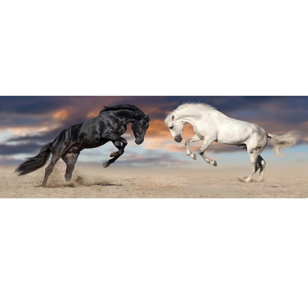 Canvanation 40x120cm Affiche Cheval Combat Noir Et Blanc