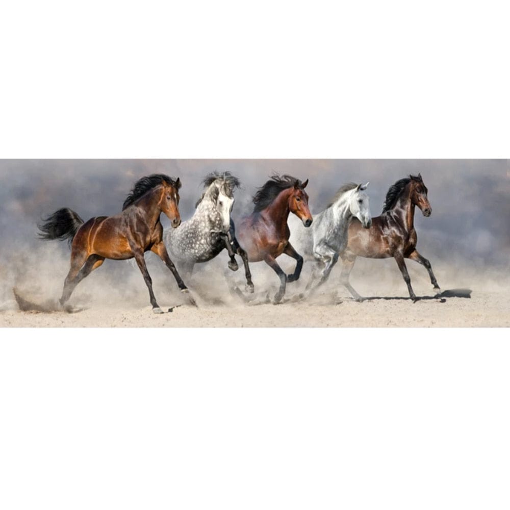 Canvanation 40x120cm Affiche Chevaux Course Noir Et Marron