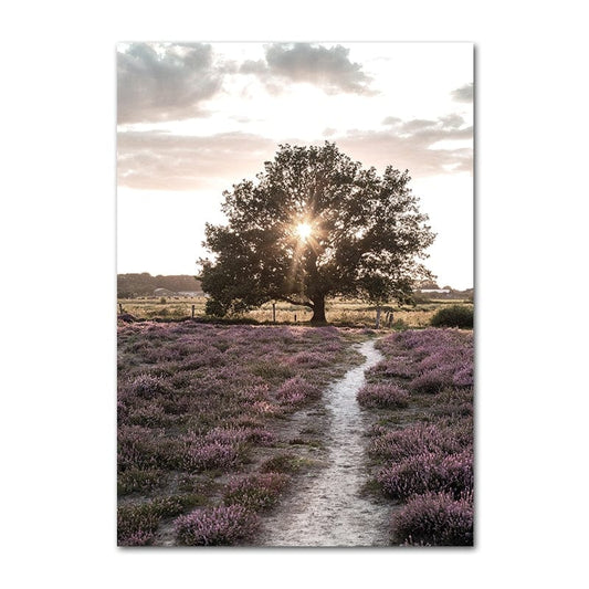 Canvanation 50x75cm Affiche Arbre Avec Un Chemin