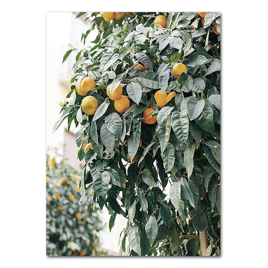 Canvanation 40x60cm Affiche Arbre Orange
