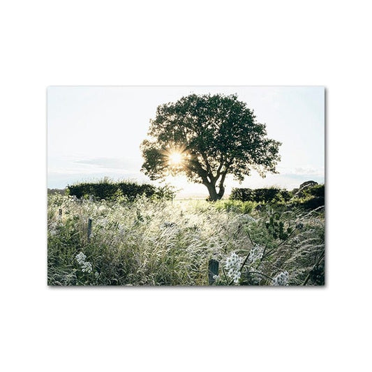 Canvanation 50x75cm Affiche Arbre Prairie