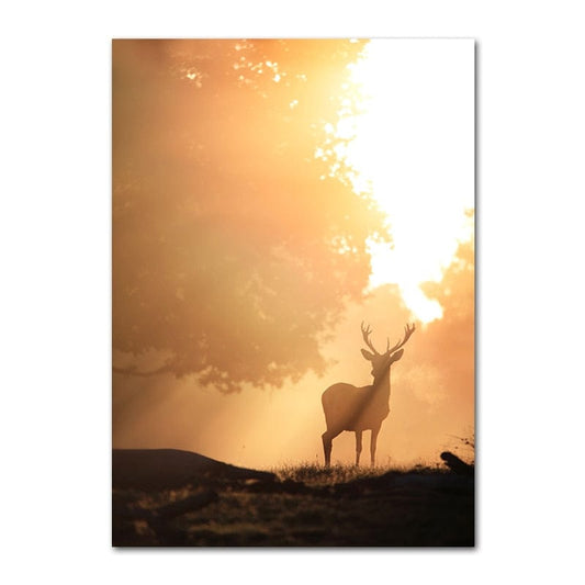 Canvanation A3 30x42cm Affiche Cerf Noir Et Blanc