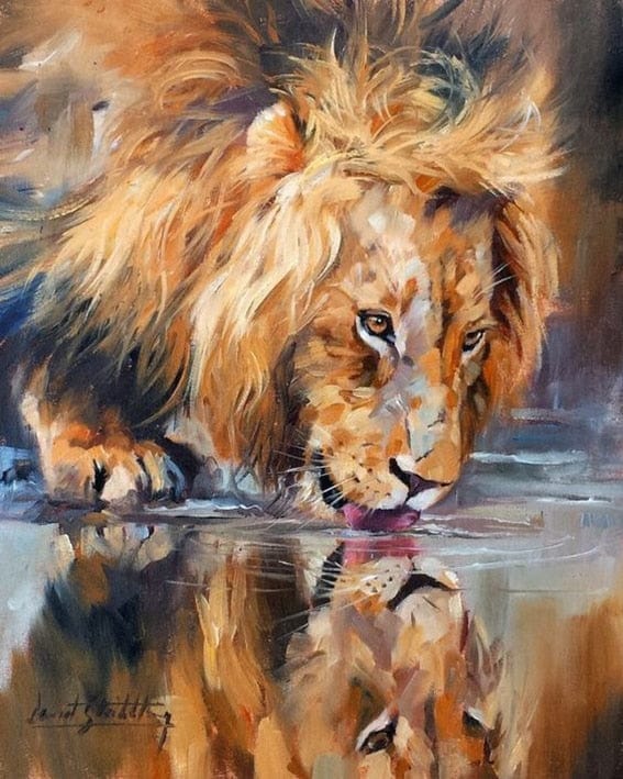 Canvanation 40x55 Cm Affiche De Lion