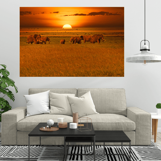 Canvanation Affiche Elephant