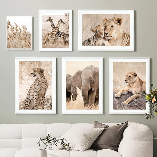 Canvanation Affiche Elephant Couleur
