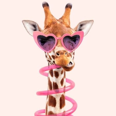 Canvanation 80X120cm Affiche Girafe Multicolore