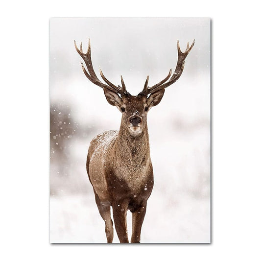 Canvanation 30x40cm / Picture 3 Affiche Tete De Cerf