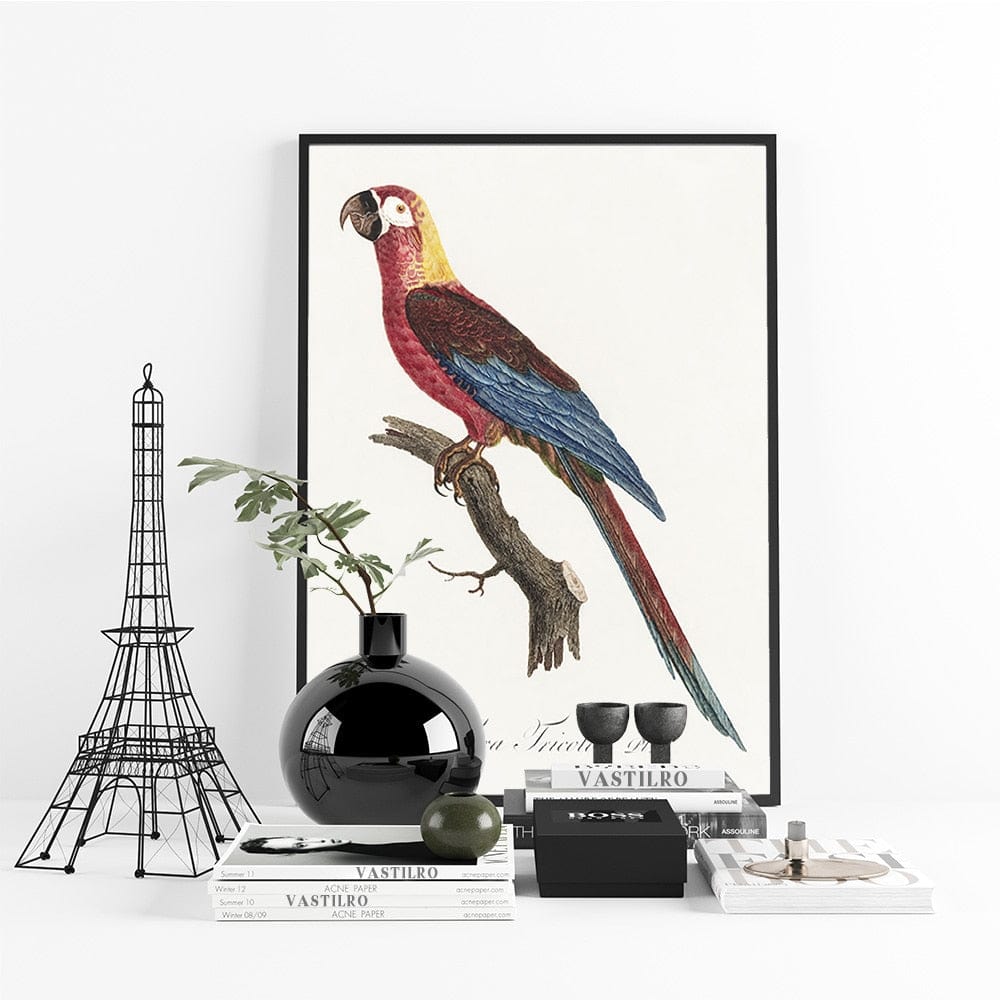 Tableau Tropical Perroquet Canvanation