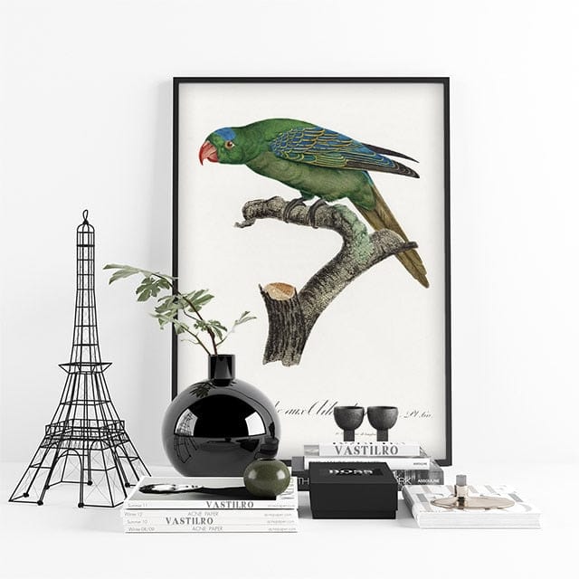 Tableau Tropical Perroquet Canvanation