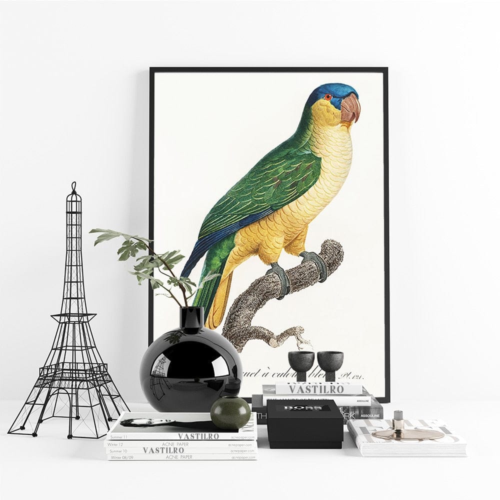 Tableau Tropical Perroquet Canvanation