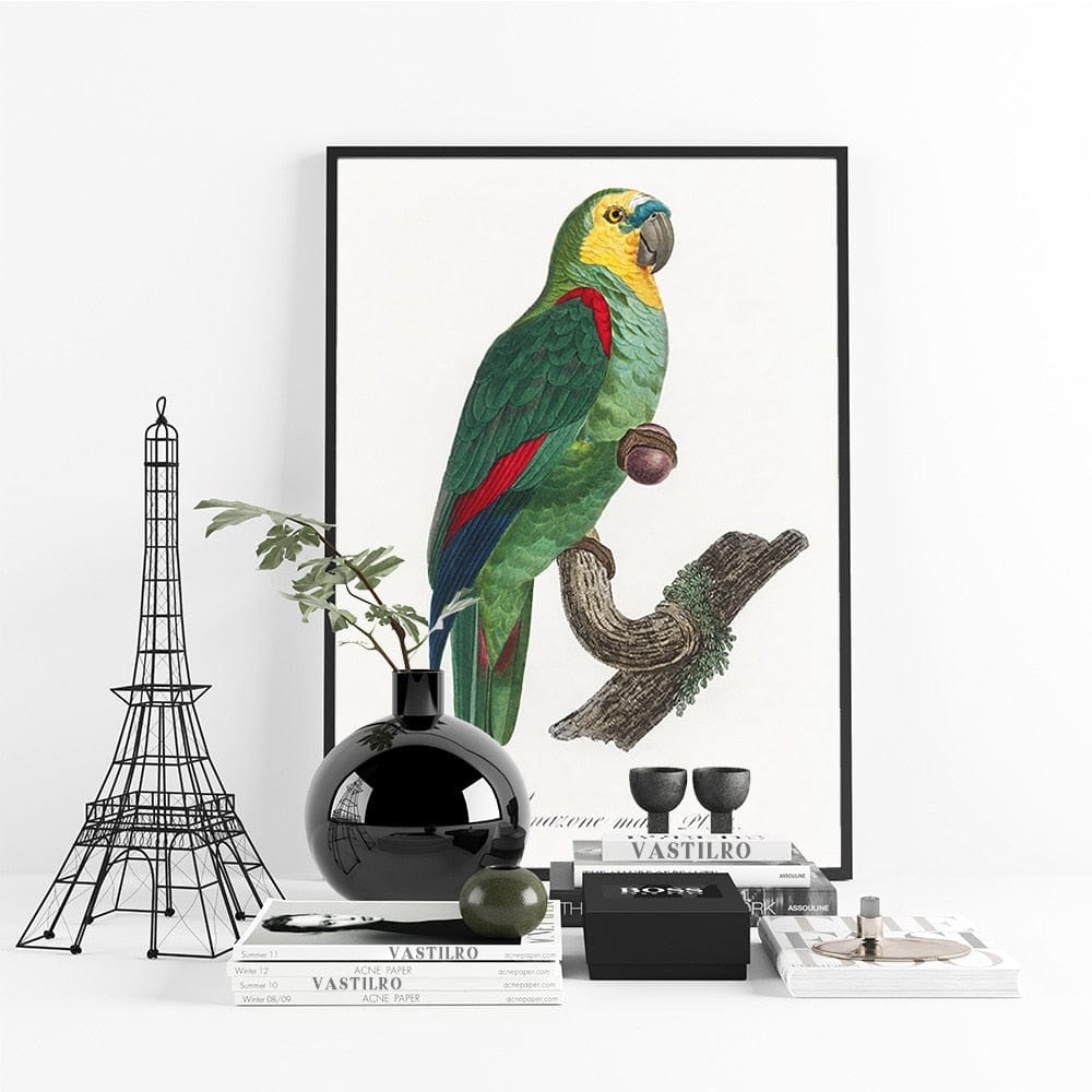 Tableau Tropical Perroquet Canvanation