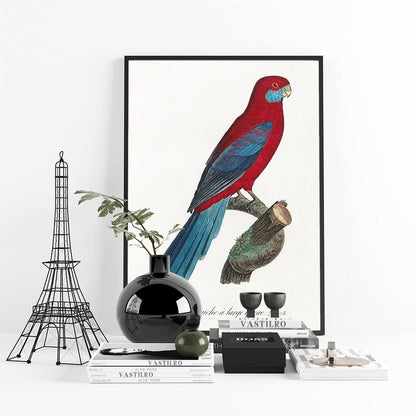 Tableau Tropical Perroquet Canvanation