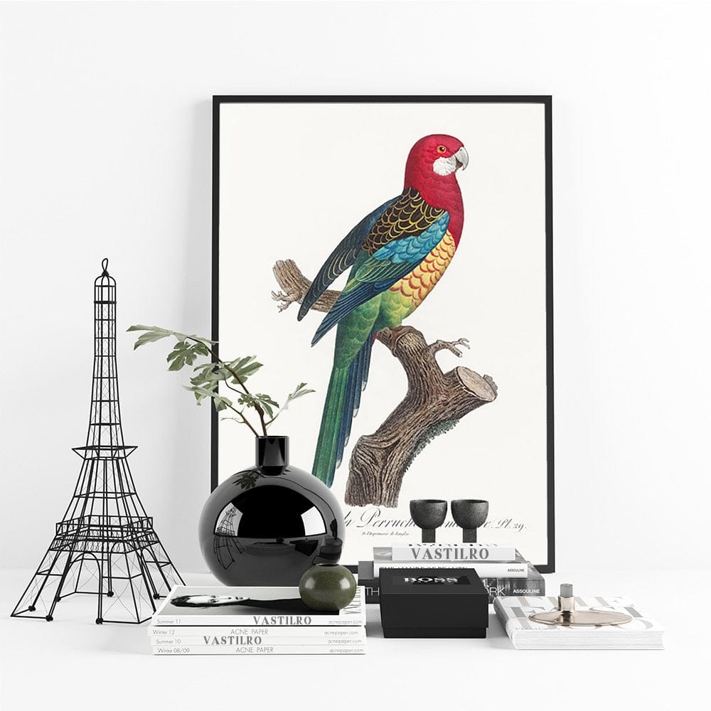 Tableau Tropical Perroquet Canvanation