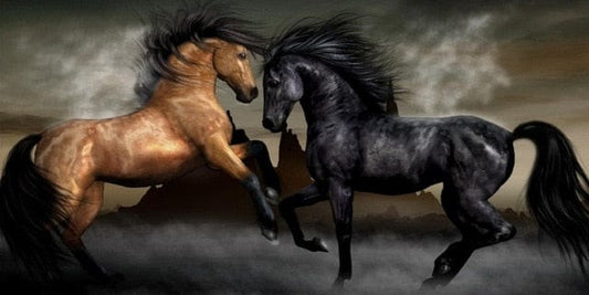 Canvanation 0 30x60cm / A Toile Cheval Noir Et Blanc