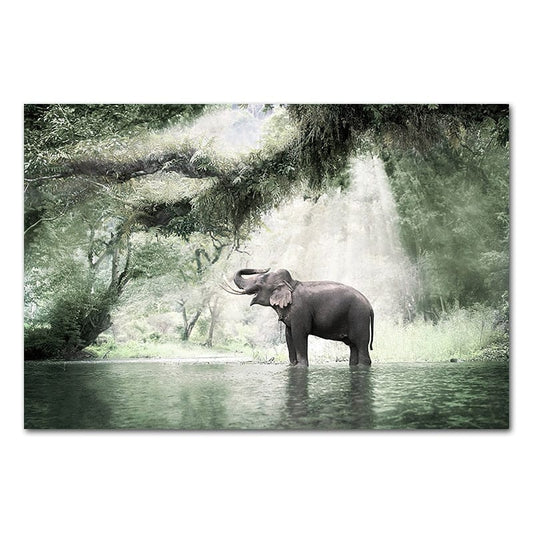Canvanation 50x70cm Toile Elephant Dans Une Rivière