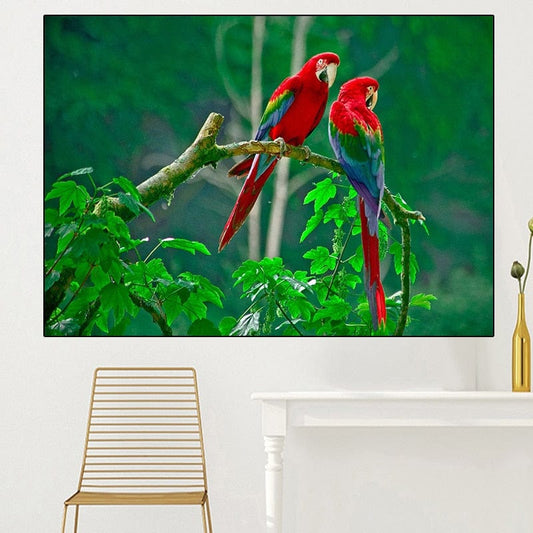 Canvanation 60X80CM / Parrot 635 Toile Perroquet